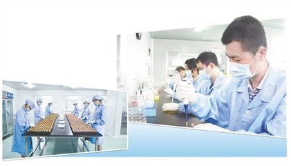 分子診斷站上“風口”，技術服務迎來新機遇
